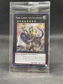 King Landia The Goldfang （スーパー）1枚