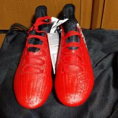 X16.1 SG