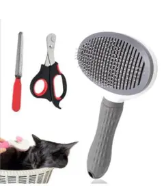 Item thumbnail for item 1ba6055a-f4d8-4a77-adbd-766aba96d2bb