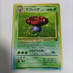 ポケモンカード　旧裏　ラフレシア