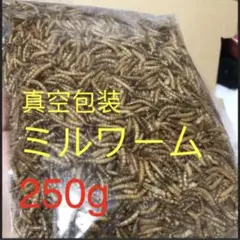 ミルワーム ドライ 乾燥 はりねずみ フクロモモンガ 小動物 250g