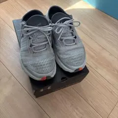 Item thumbnail for item 37064a5e-bf7b-409b-b86f-826732cee397