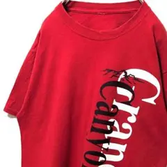 グランドキャニオンナショナルパーク ロゴ Tシャツ レッド 赤 古着