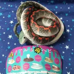 Item thumbnail for item ee64b302-670f-4781-98c1-ba5196c6bcdb