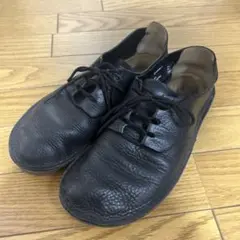 希少 Clarks Trigenic Veldt