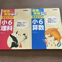 基礎から発展まるわかり小6理科　算数　2冊