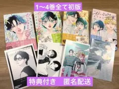 （最終値下げ）かいじゅうの花束1〜4巻