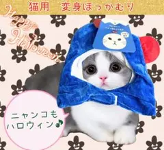 Item thumbnail for item 23c220cb-6e3f-469e-94dc-1cd98d12656a