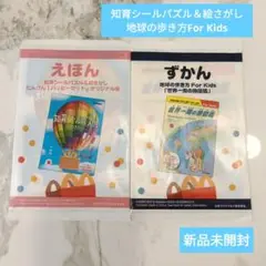 【新品未開封】マクドナルドハッピーセット　ずかん&えほん　2冊セット
