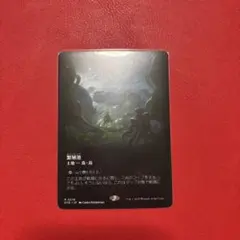 MTG 繁殖池 日本語 ボーダーレス