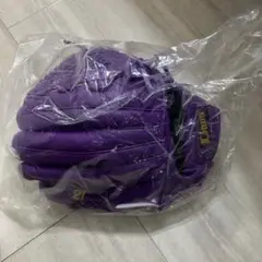 埼玉西武ライオンズ グローブ 武内夏暉