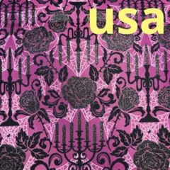 ハロウィン　usaコットン 薔薇　ロウソク　廃版レア