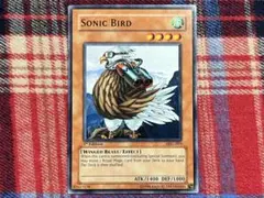 遊戯王 旧アジア版 ソニック・バード ノーマル 未使用品