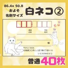 【白ネコ②】宛名シール　差出人シール　普通サイズ　40枚　シンプル　動物　ネコ