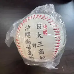 第107回全国高校野球選手権大会 決勝戦ボール