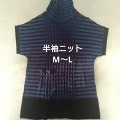半袖ニット 青系 ストライプ