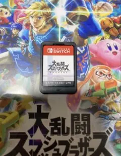 大乱闘スマッシュブラザーズ　スマブラ　ソフト　Switch スイッチ