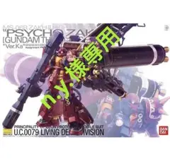 2025年最新】1/100 MG MS-06R 高機動型ザク ”サイコ・ザク” Ver