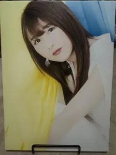 安野希世乃 アコースティックライブ2021 キャンバスアート Lサイズ