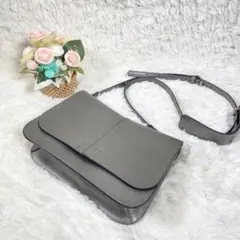 【美品】ジャンニキャリーニ ショルダーバッグ 2way メタリック シルバー