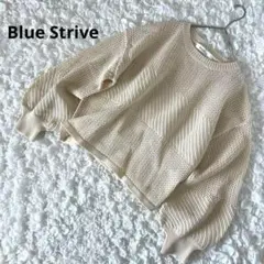 Blue Strive ニット　ぽわん袖　透かし編み　M ベージュ