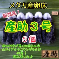 新商品!メダカ産卵床10㎝★産助(さんすけ)3号5★ ※組立不要!金魚にも