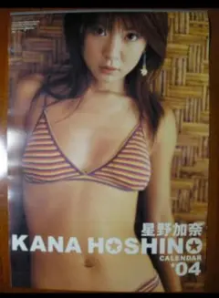 星野加奈  2004年  カレンダー