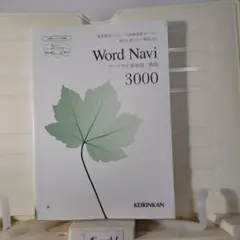W1ワードナビ3000 英語教本　文字カラー　英単語集　全ページカラー入試参考