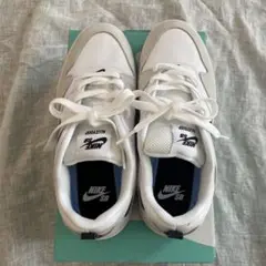 美品＊NIKEＳＢアリウープ　24.5cm