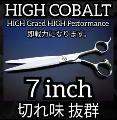 Item thumbnail for item 8743557e-2591-41ab-ba5c-ac1ba15d0761