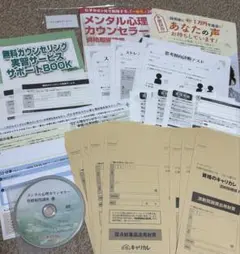 ✨️人気✨️メンタル心理カウンセラー勉強教材！即購入⭕️早い者勝ちです！！！！！