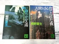 桐野夏生 顔に降りかかる雨 /天使に見捨てられた夜 文庫本