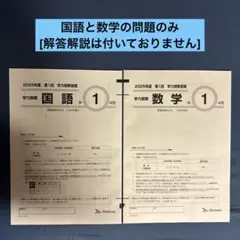 【新品，未使用】模試2025 中1 国語と数学の問題のみ！