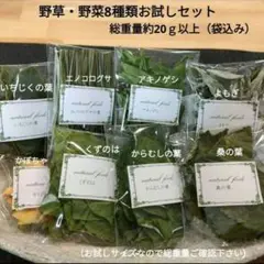 Item thumbnail for item 657b2dc6-81c7-4518-b8d0-1310be6e1a91