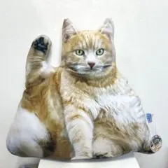 リアルでぶ猫クッション2