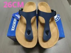 Item thumbnail for item ce34fb08-55d3-4e60-84f9-8ad789004ef6