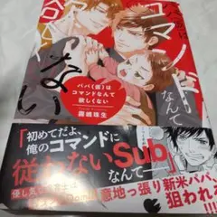 パパ(仮)はコマンドなんて欲しくない