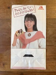 本気の値下げ❣️おニャン子クラブ 河合その子 紙袋 森永 アイドル 企業モノ