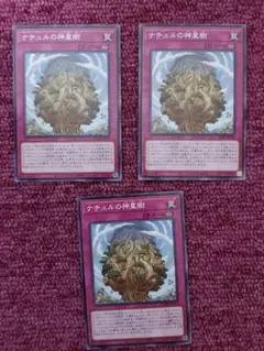 遊戯王　ナチュルの神星樹　3枚　ノーマル
