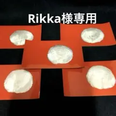 キャピシェル　天然貝螺鈿細工　吹上長手皿　五枚