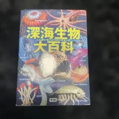 Item thumbnail for item 5e69102b-dedf-4e79-bcb7-bfda9e9145ce