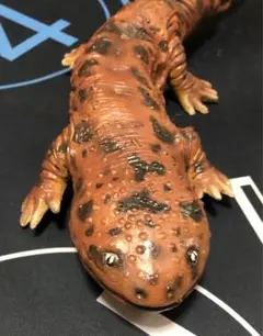 オオサンショウウオ フィギュア　ソフビ