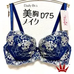 D75トリンプ 美胸メイク ブラ単品 Navy