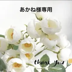 専用