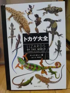 トカゲ大全