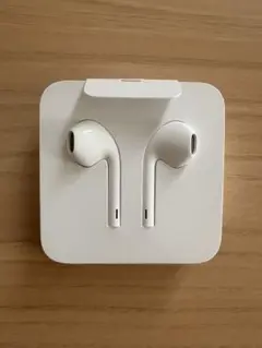 新品未使用 iPhone Apple純正 有線イヤホン Lightning