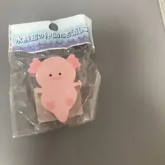 水族館の仲間たち消しゴム