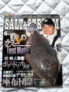 ⭐【248】SALT & STREAM　2008年 6月号