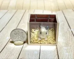 ドールハウス ミニチュア ハンドメイド ファーリークレイ キンクマ ハムスター