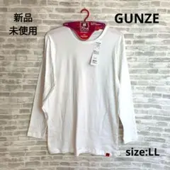 Item thumbnail for item 93c57643-7edf-4224-86ab-2a2e8ae40f45